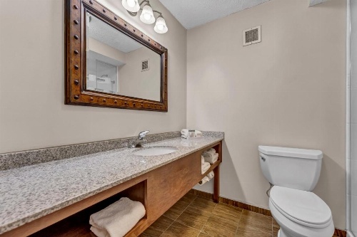 Buffalo Airport Hotel image 12