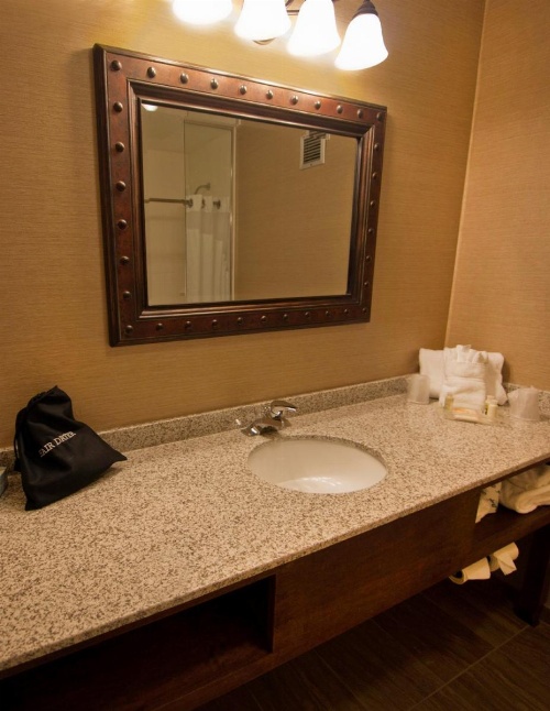 Buffalo Airport Hotel image 25