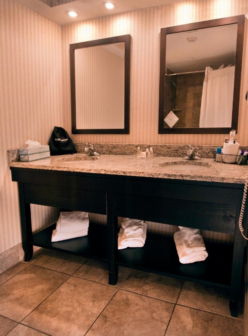 Buffalo Airport Hotel image 26