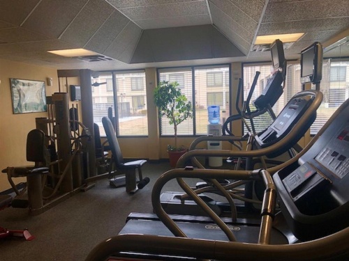 Buffalo Airport Hotel image 35